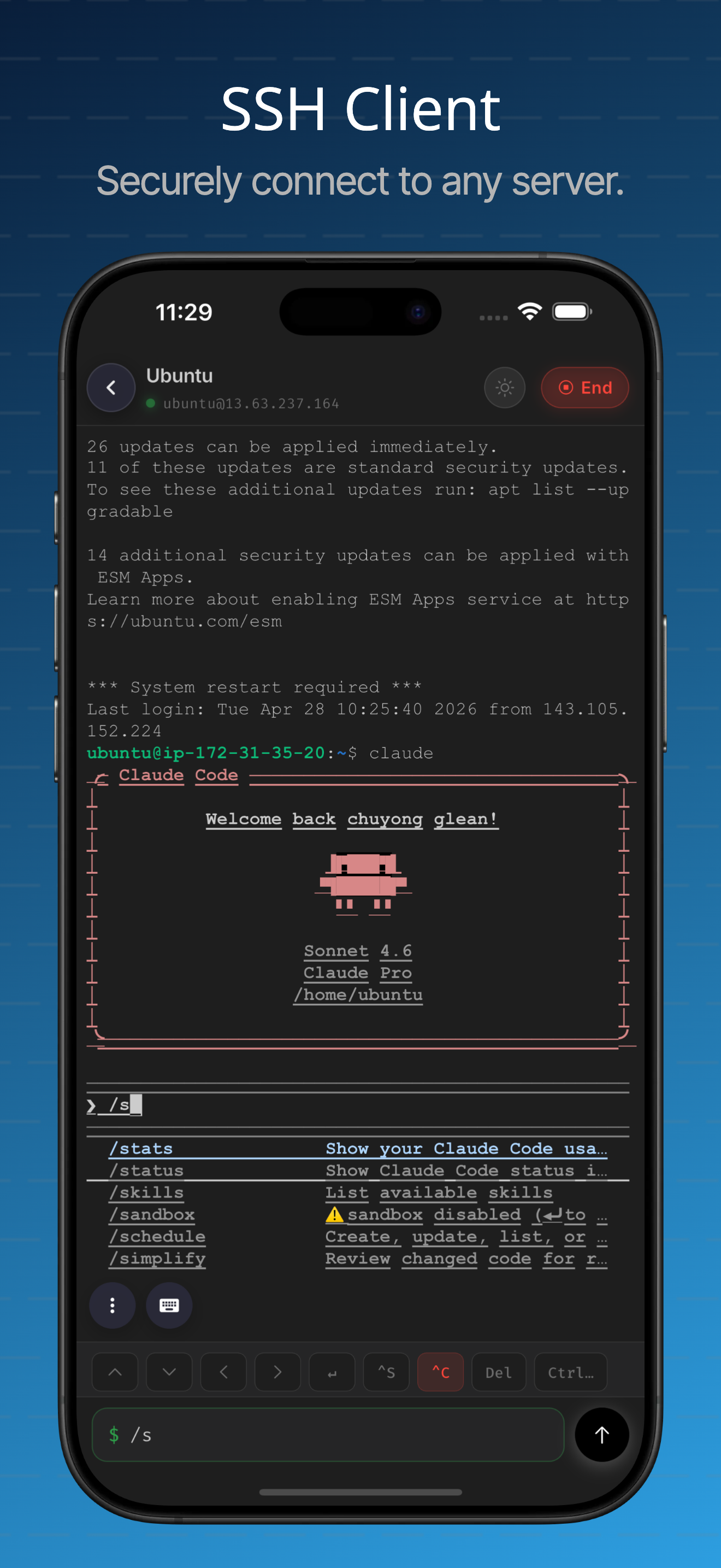 Termiux Interface Mockup